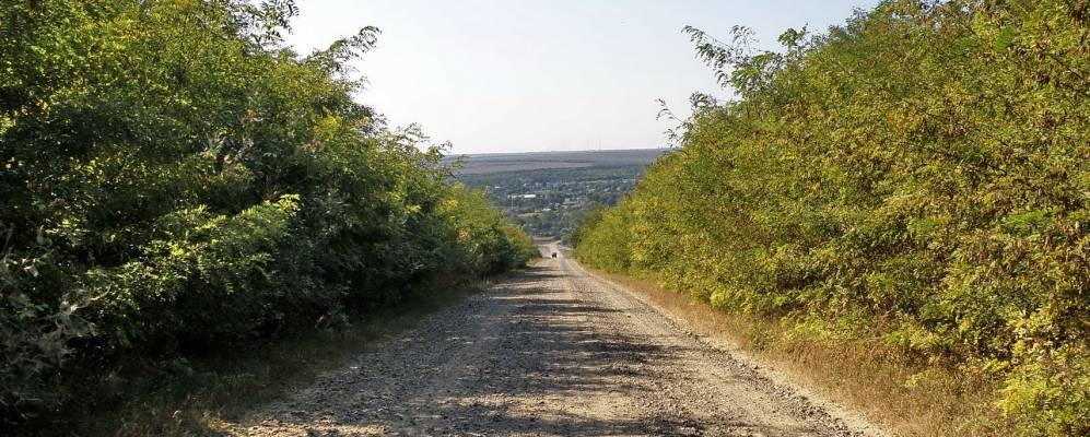 
            Фотография Павловки