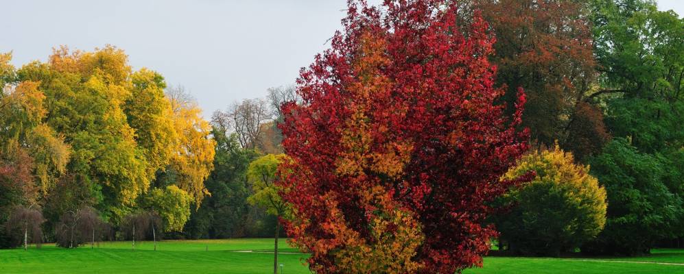 
            Фотография Changé