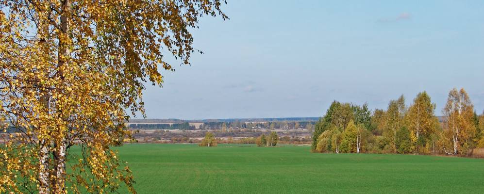 
            Фотография Лышново