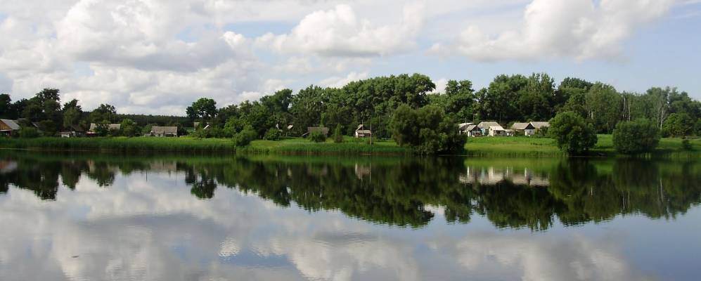 
            Фотография Журавлинки