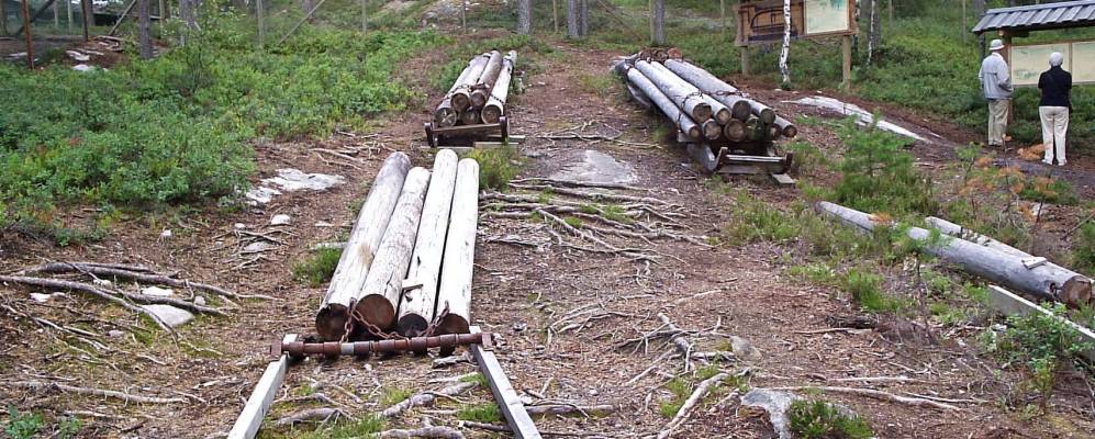 
            Фотография Фло