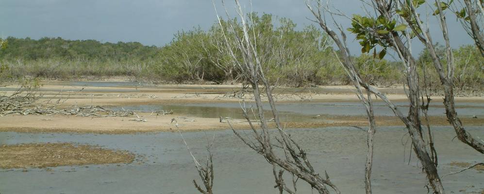 Фотография Корозаля