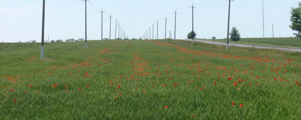 Фотография Ненасытеца