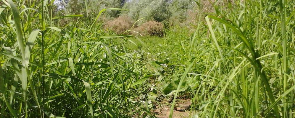 
            Фотография Давыдово