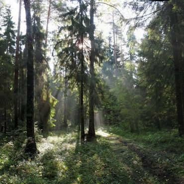 Пречистино