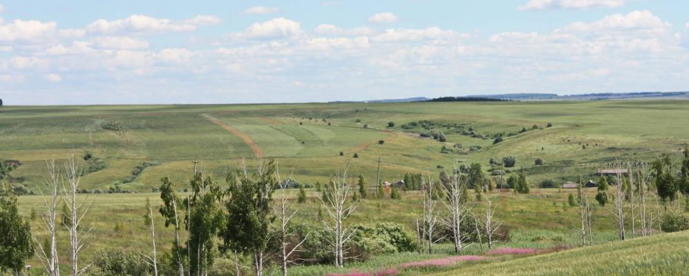 
            Фотография Инелея