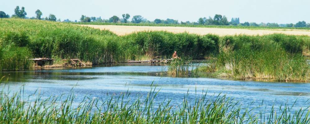 
            Фотография Криничного