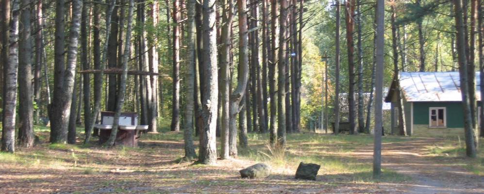 
            Фотография Зеленой Рощи