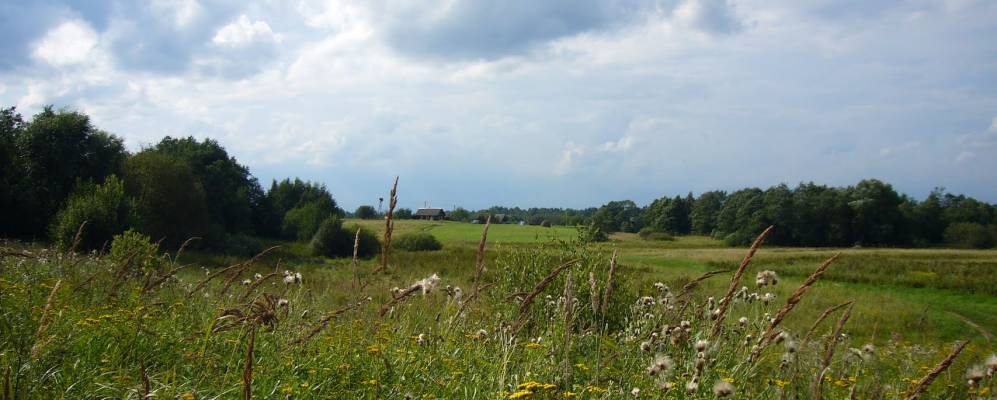 
            Фотография деревни Ходюки