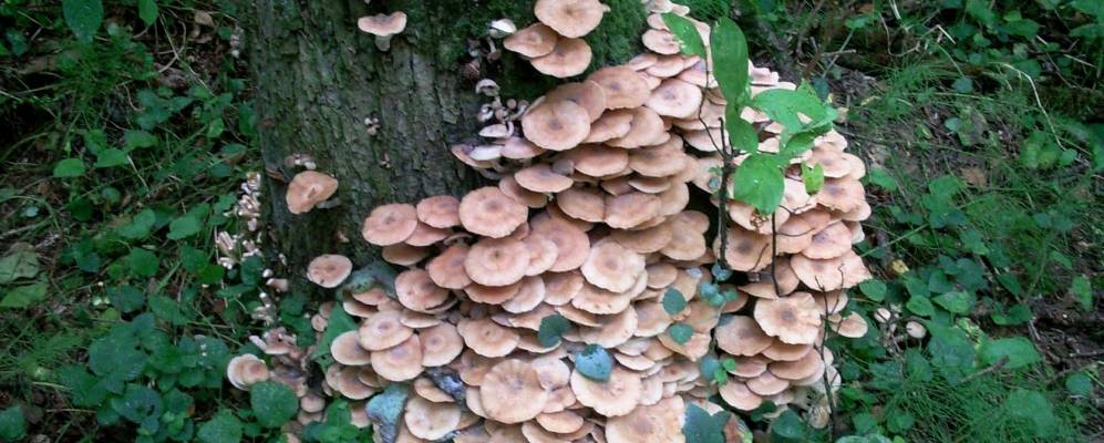 
            Фотография Радиоцентра