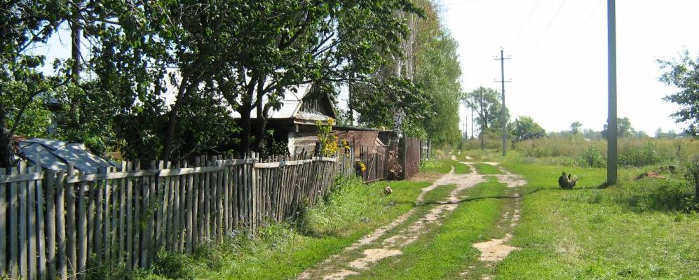 
            Фотография Ярка