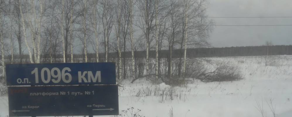 
            Фотография Мошней