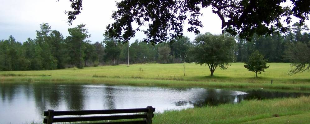 
            Фотография Латимера