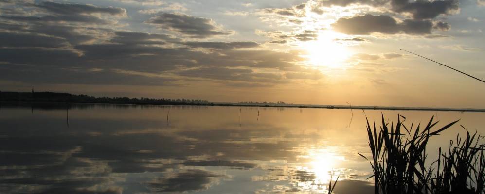 
            Фотография Тимонино