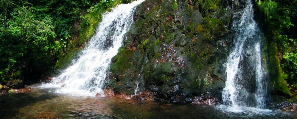 
            Фотография Вальторта