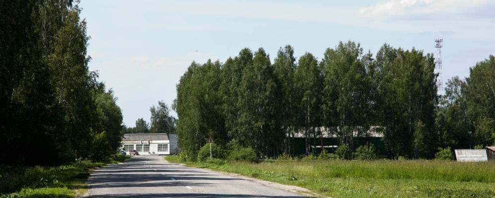 
            Фотография Филипцево