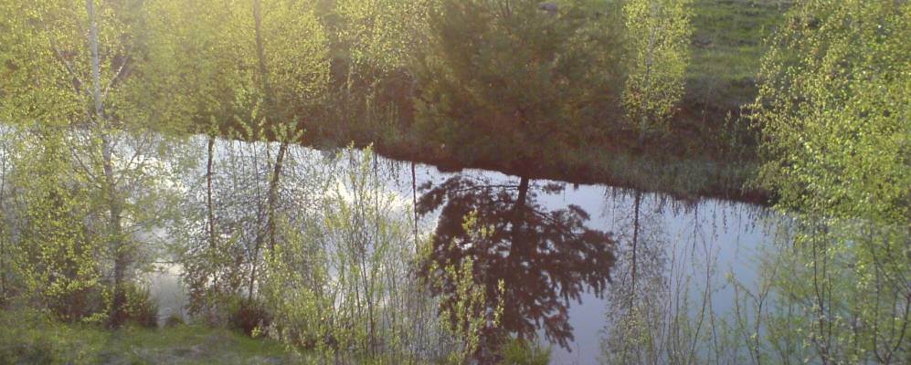 
            Фотография Руденки