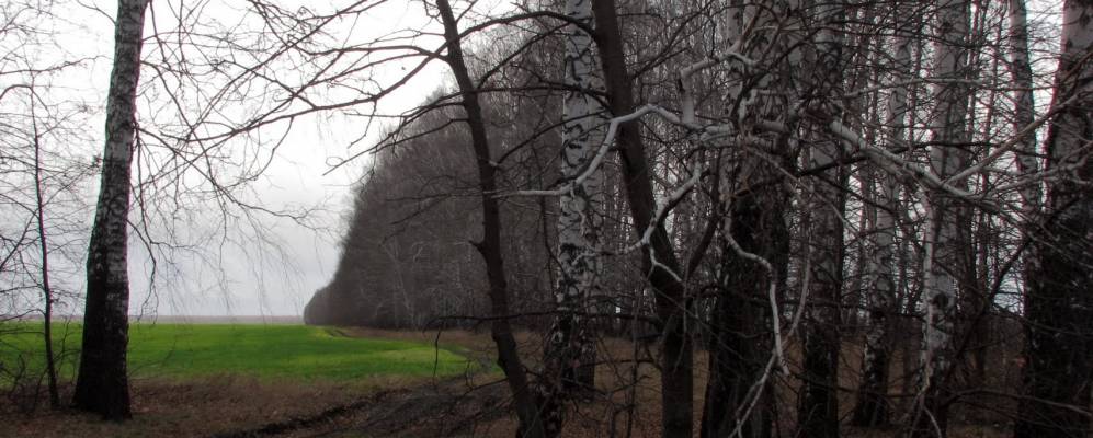 
            Фотография Красного Вала