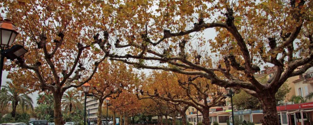 
            Фотография Ле-Лаванду