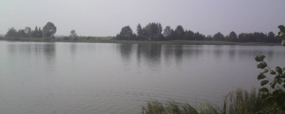 
            Фотография Шулаковки