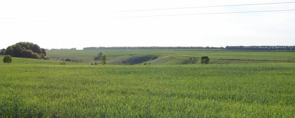 
            Фотография Чернецкого