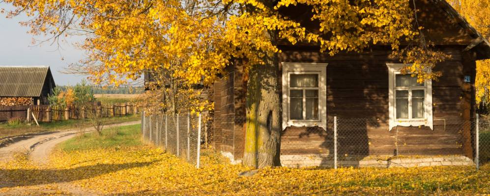 Фотография Дубровки