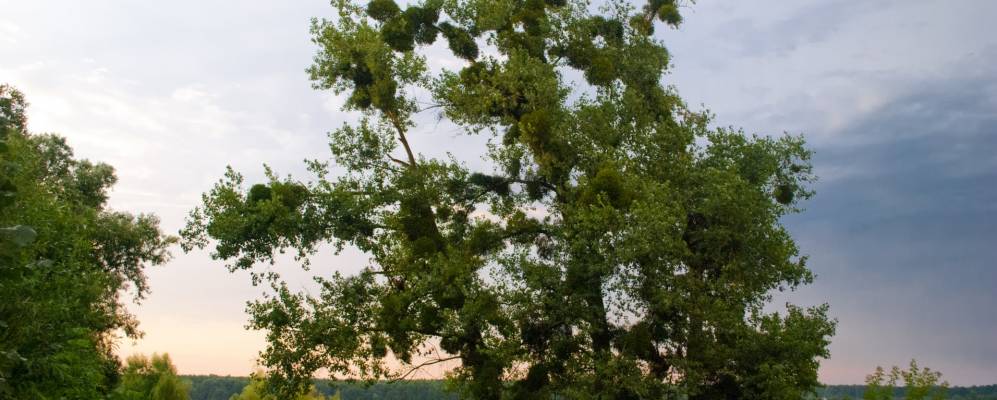 
            Фотография Новины