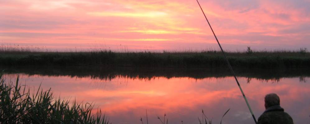 
            Фотография Старых Лиманокирпили