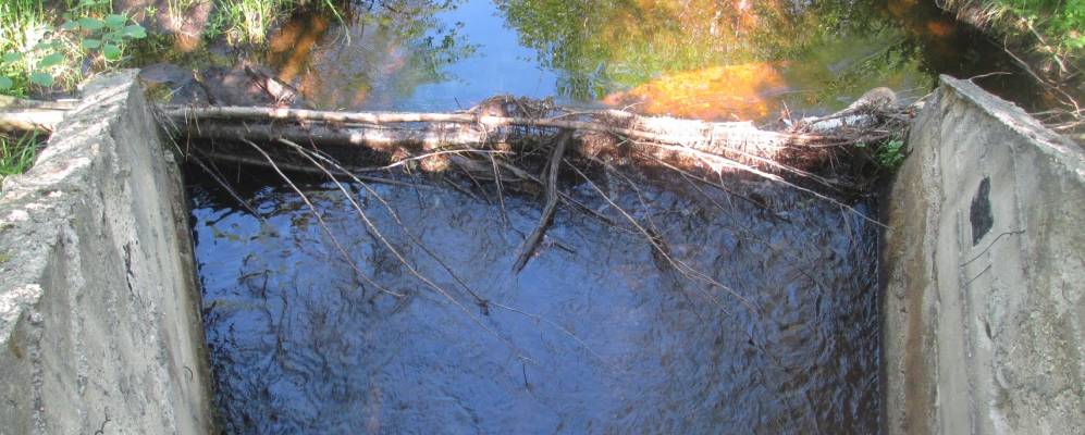 
            Фотография Угловой