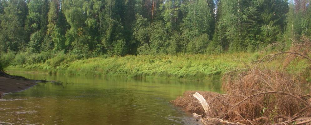 Фотография Дуванного