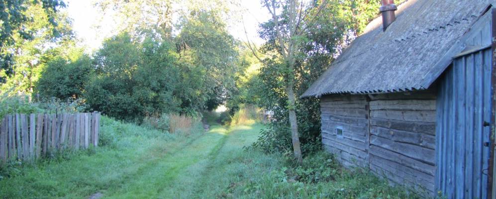 Фотография Дубового