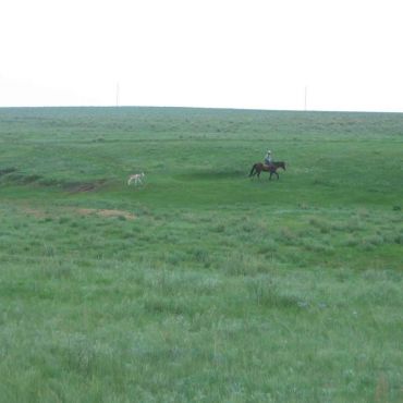 Терентьевка