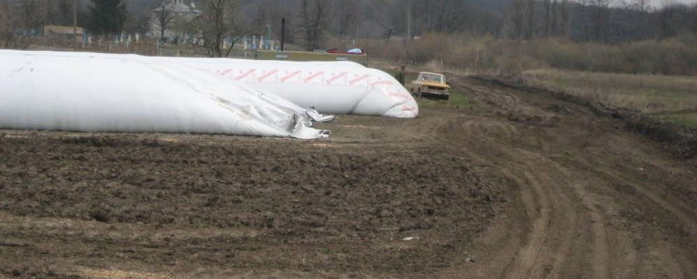 
            Фотография Вернянки