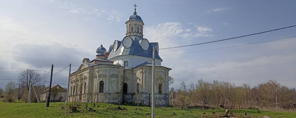 Фотография Рощи