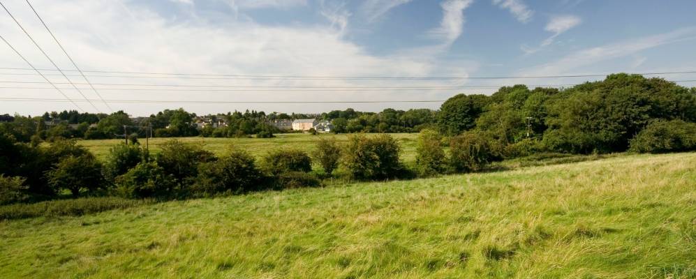 
            Фотография Сайренсестера