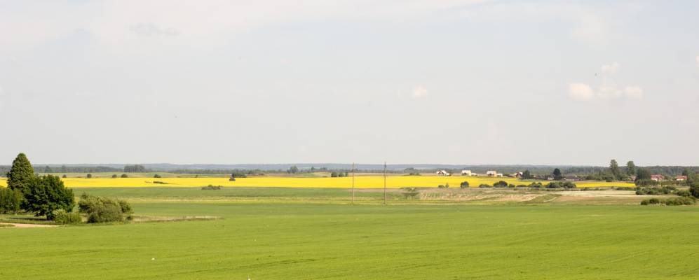 
            Фотография Поречья