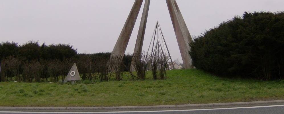 
            Фотография Гина