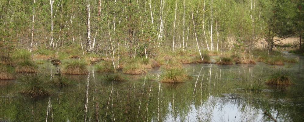 Фотография Килепово