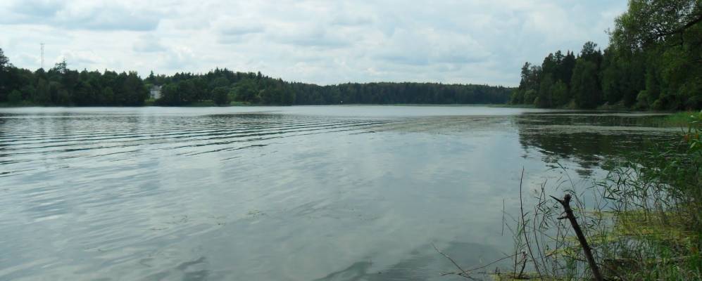 Фотография Радионцево