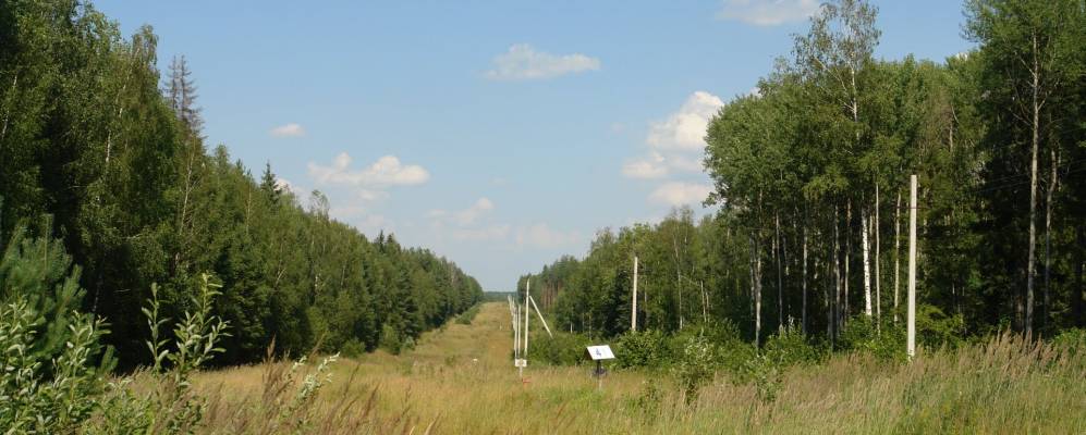 
            Фотография Мигалихи