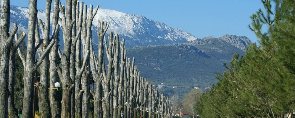 
            Фотография Алиартоса