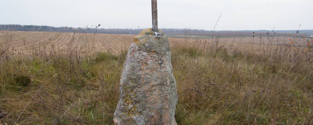 Фотография Вишнёвки