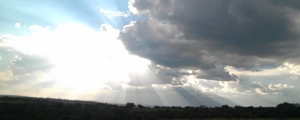 
            Фотография Халостотитлана