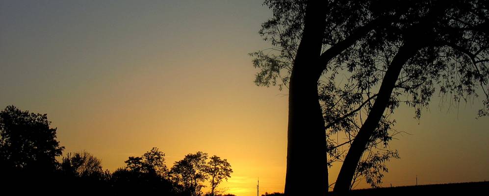 
            Фотография Василевки