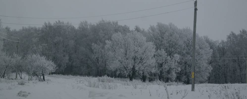 
            Фотография Журавлевки