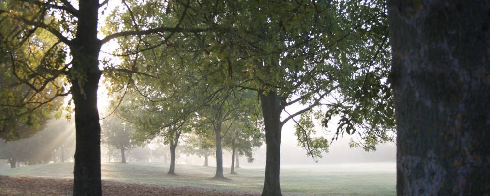 
            Фотография Уинслоу