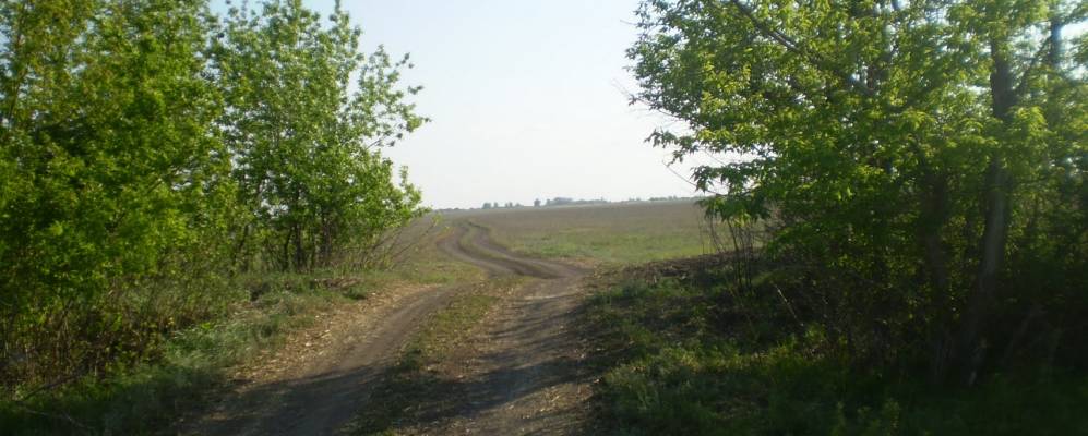 
            Фотография Песчанки