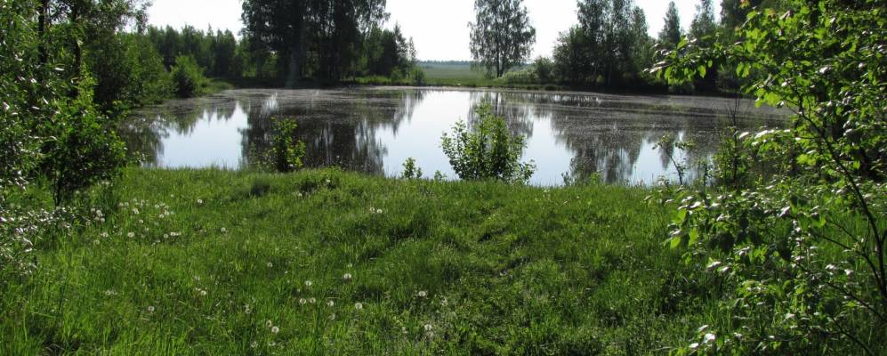 
            Фотография Нерядовки