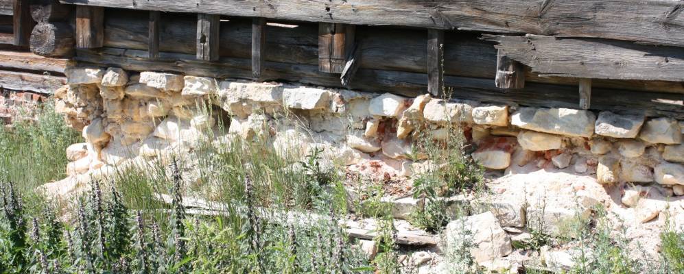 
            Фотография Приютово