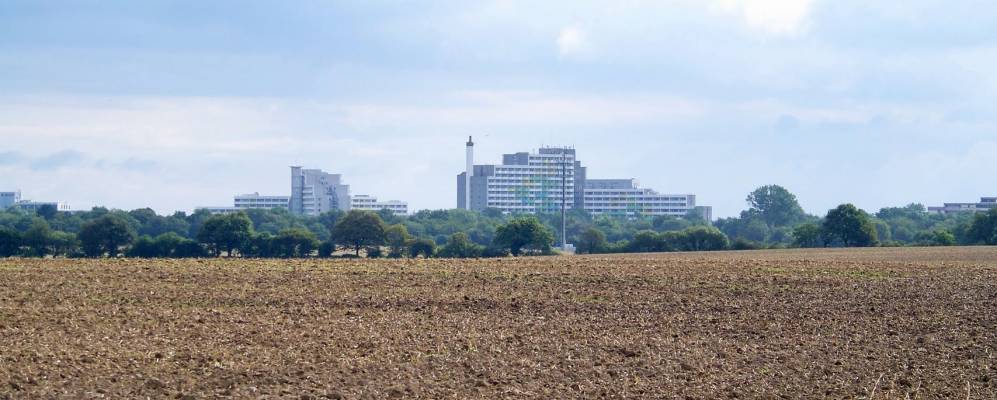 
            Фотография Дампа